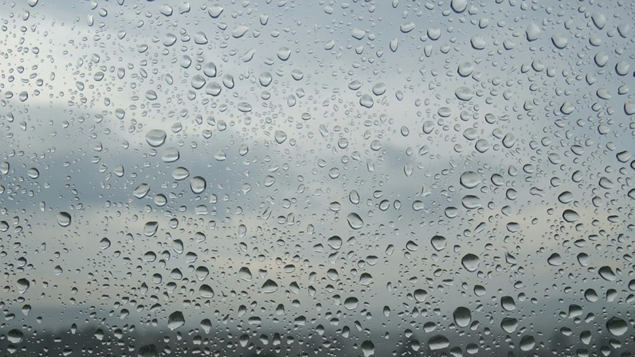 四個方法解決PU線板發霉